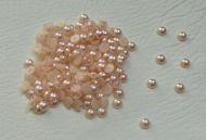 200 x 4mm Flat Back Pearls in Peach